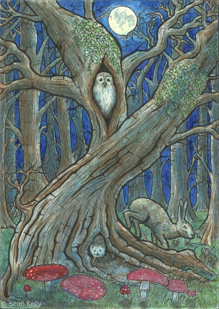 forest illustration woods trees fairy tale toadstools owl hare hedgehog wildlife animals beasts moon sean kelly odinns grove fantasy art nature drawing